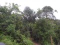 Tn DSC 3942